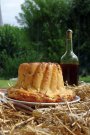 picnic1.jpg