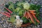 Panier-legumes.jpg