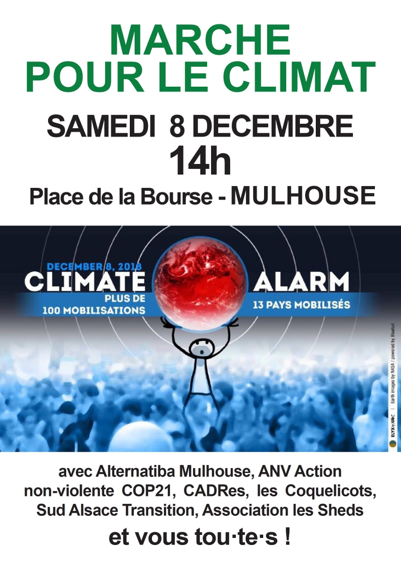 Affiche Marche pour le Climat - Mulhouse