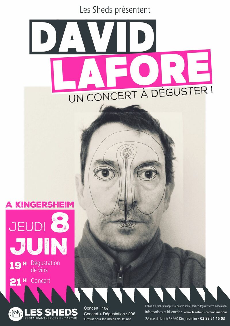 Affiche David Lafore : un concert à déguster !