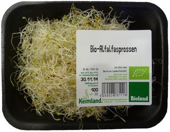 Germes Alfalfa Keim. 100g