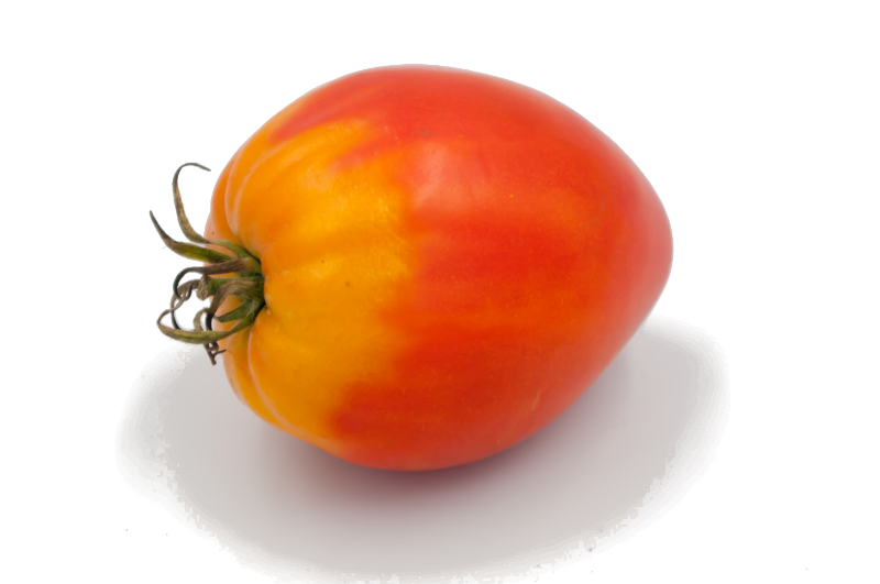 Tomate coeur de boeuf FR (kg)